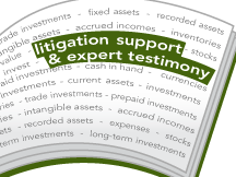 Litigation Support & Expert Testimony